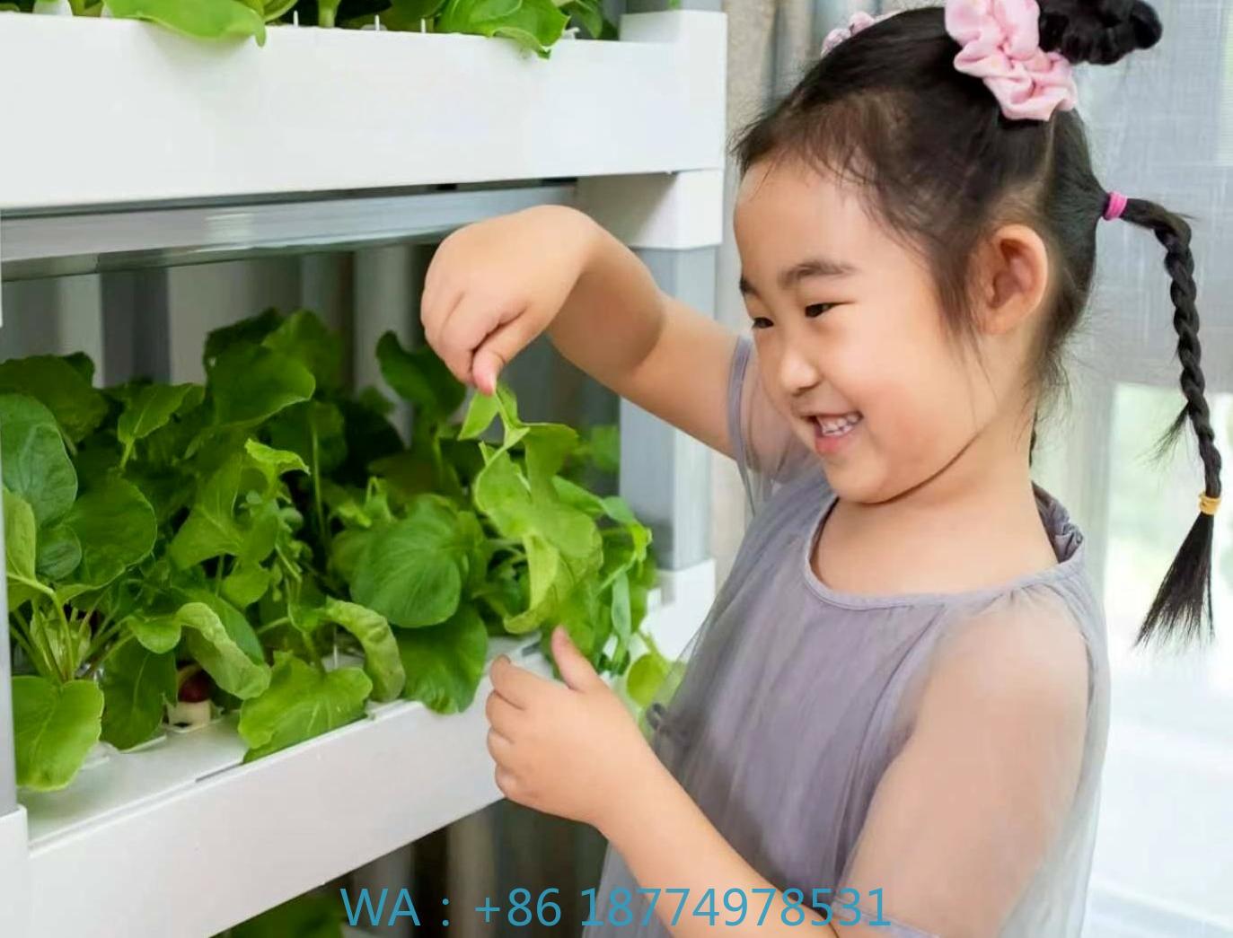 nt China Hydrokultur Grow Box  – Home Automation Systems Diy recenzja i cena