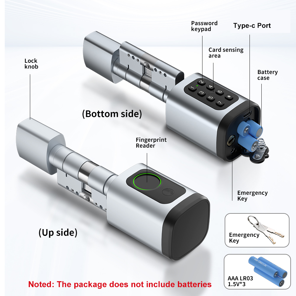 RAYKUBE V1 Tuya BLE TT Lock Sm – Home Automation System Diy recenzja i cena