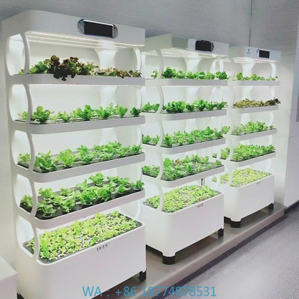 Iydroponic Automated Grow Syst – Home Automation Systems Diy recenzja i cena