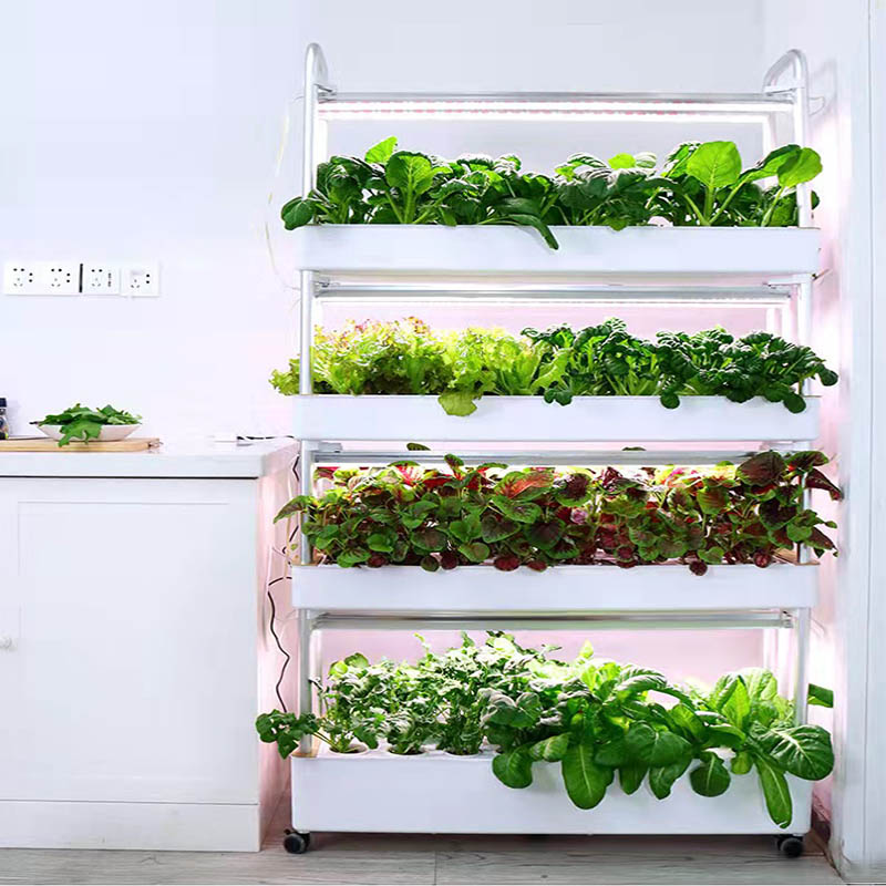 ydroponic Planting System Smar – Diy Automation recenzja i cena