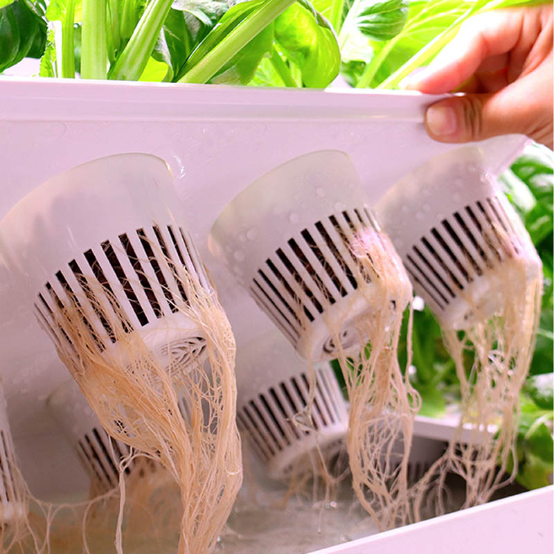 ydroponic Planting System Smar – Diy Automation recenzja i cena