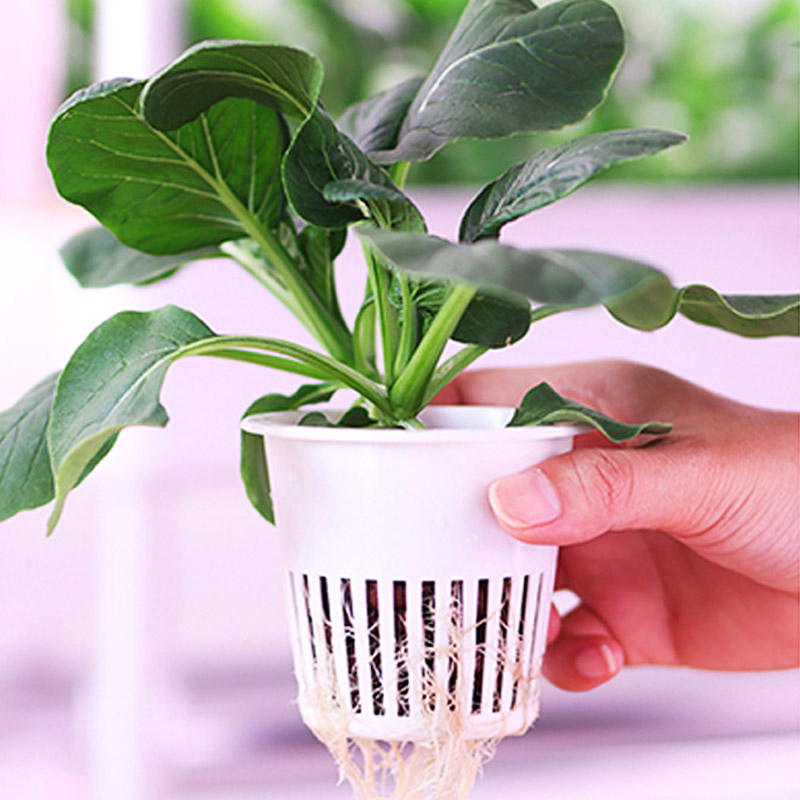 ydroponic Planting System Smar – Diy Automation recenzja i cena