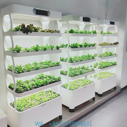 Hydroponic Automated Grow Syst – Home Automation System Diy recenzja i cena